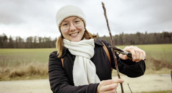 Sarah Bï¿ï¾¤nziger, Std. Geschï¿ï¾¤ftsfï¿ï¾¼hrerin vom Regionaler Naturpark Schaffhausen fï¿ï¾¼hrt uns in den Obstbaumschnitt ein, fotografiert am Dienstag, 17. Februar 2026, in Schaffhausen. (Roberta Fele / Schaffhaus