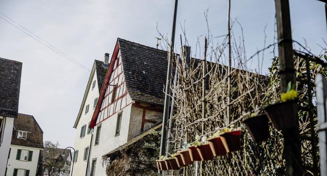 Ein neues Bordell hat im Dorfkern von Thayngen zum grossen ï¿ï¾rger der Bewohnerinnen und Bewohner, erï¿ï¾¶ffnet, die Liegenschaft befindet sich Im Oberhof 3,  fotografiert am Mittwoch, 04. Mï¿ï¾¤rz 2026, in Thayngen. (Roberta Fele /