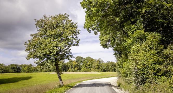 Neu asphaltierte Teststrecke, Randenï¿ï¾¼berfahrt. Bei Mï¿ï¾¤serich Parkplatz, fotografiert am Dienstag, 16. September 2025, in Beggingen. (Roberta Fele / Schaffhauser Nachr