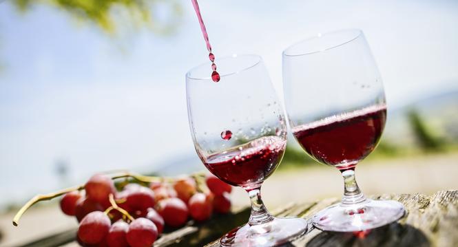 Themenbild Wein in den Rebbergen in Hallau fï¿ï¾¼r die Beilage Wein und Genuss, am Donnerstag, 14 August 2025. (Melanie Duchene / Schaffhauser Nachricht