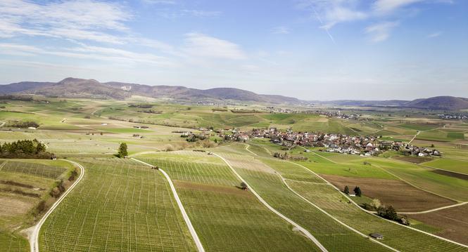 ï¿ï¾bersicht des Klettgaus von Oberhallau aus, fotografiert am Dienstag, 10. Mï¿ï¾¤rz 2026, in Oberhallau. (Roberta Fele / Schaffhauser Nachr