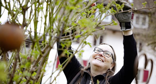 Barbara Linsi in ihrem Naturgarten, sie ist Teil des Osterfinger Gartenpfades, fotografiert am Montag, 16. Mï¿ï¾¤rz 2026, in Osterfingen. (Roberta Fele / Schaffhauser Nachricht