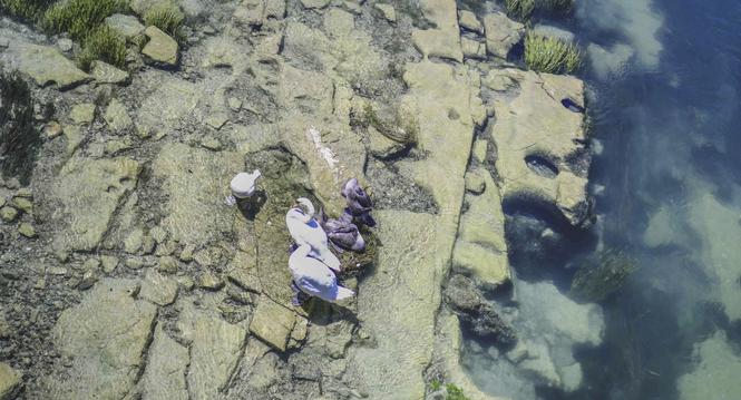 Seegras und sehr wenig Wasser im Rhein oberhalb von Flurnlingen, durch die anhaltende Hitze ist der Wasserstand im Rhein sehr niedrig, Seegras ist gut sichtbar, am Montag, 18. Juli, 2022. (Melanie Duchene / Schaffhauser Nachrichten)