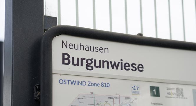 Symbolbilder fï¿ï¾¼r die Berichterstattung ï¿ï¾¼ber die Burgunwiese in Neuhausen. Fotografiert am Mittwoch, 6. Mai 2026 in Neuhausen. (ENYA DALLE FESTE / SCHAFFHAUSER NACHR