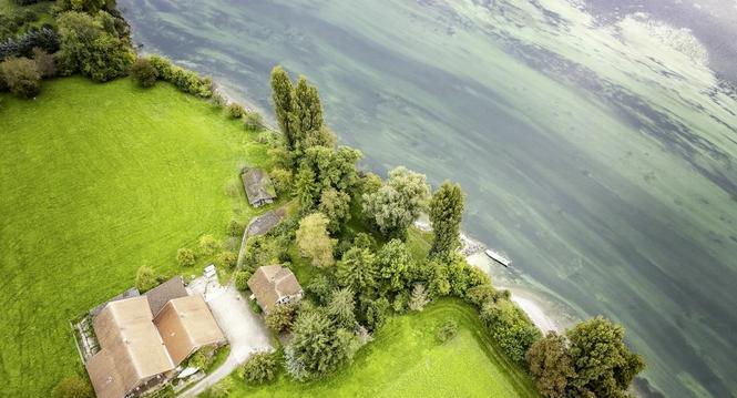 Landwirtschaftsbetrieb Rhigï¿ï¾¼etli, fotografiert am Dienstag, 30. September 2025, in Stein am Rhein. (Roberta Fele / Schaffhauser Nachricht