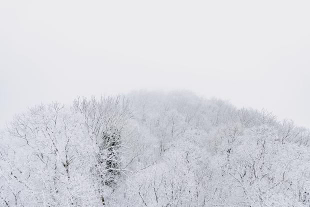 Siblinger Randen bei Schnee, fotografiert am Montag 23. Dezember 2024, in Siblingen. (Roberta Fele / Schaffhauser Nachrichten)