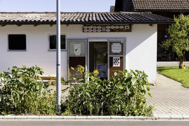 Glace Produktion bei "RONKIES", Leben & Genuss, Donnerstag, 18.06.2026, Wil ZH (Roger Hofstetter/Schaffhauser Nachrichten)